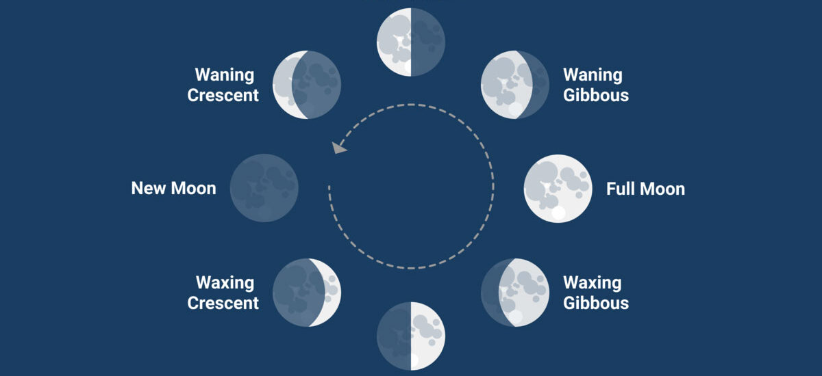 What is Lunar Phase In Full Moon Cycle
