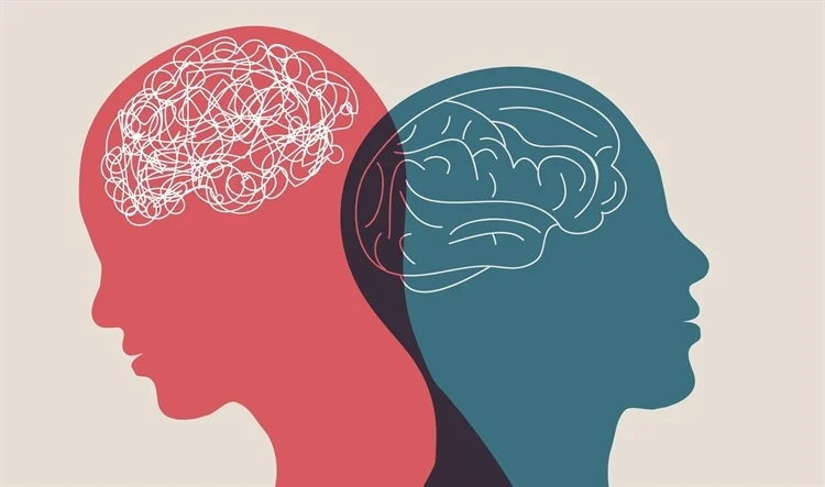 What Is the Connection Between Birth Date and Personality